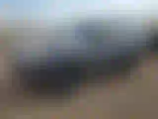 Vehicle Image- 2007 Toyota 4 Runner