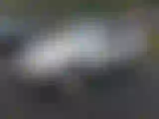 Vehicle Image- 2004 Toyota 4 Runner