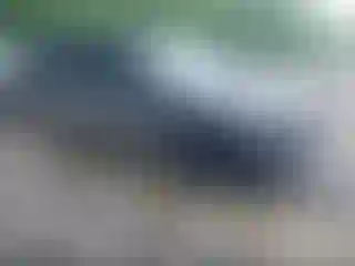 Vehicle Image- 2006 Toyota 4 Runner