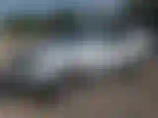 Vehicle Image- 2006 Toyota 4 Runner
