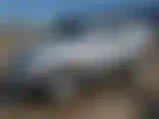Vehicle Image- 2003 Toyota 4 Runner