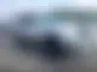 Vehicle Image- 2008 Toyota 4 Runner