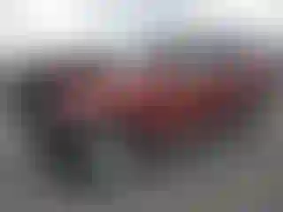 Vehicle Image- 2011 Toyota 4 Runner