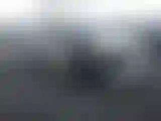 Vehicle Image- 2011 Toyota 4 Runner