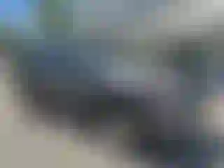 Vehicle Image- 2010 Toyota 4 Runner