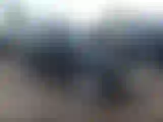 Vehicle Image- 2013 Toyota 4 Runner