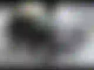 Vehicle Image- 2019 Toyota 4 Runner