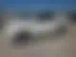 Vehicle Image- 2011 Toyota 4 Runner