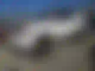 Vehicle Image- 2011 Toyota 4 Runner