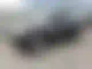 Vehicle Image- 2019 Toyota 4 Runner