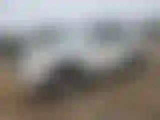 Vehicle Image- 2013 Toyota 4 Runner