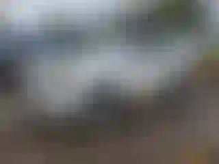 Vehicle Image- 2011 Toyota 4 Runner