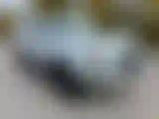 Vehicle Image- 2015 Toyota 4 Runner