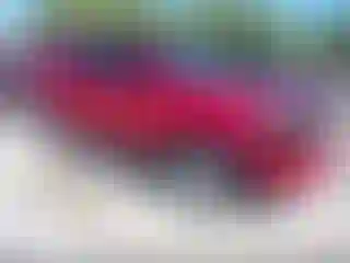 Vehicle Image- 2018 Toyota 4 Runner