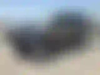 Vehicle Image- 2016 Toyota 4 Runner