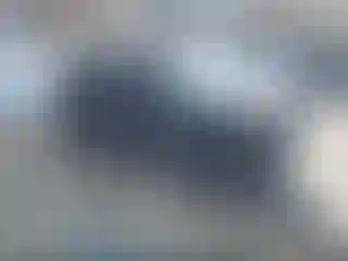 Vehicle Image- 2019 Toyota 4 Runner