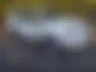 Vehicle Image- 2020 Toyota 4 Runner