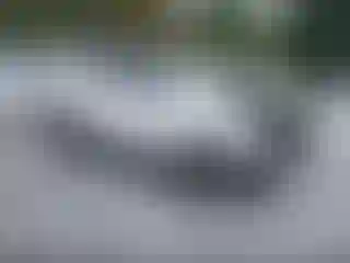 Vehicle Image- 2019 Toyota 4 Runner