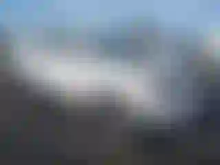 Vehicle Image- 2019 Toyota 4 Runner