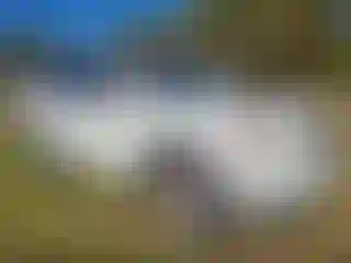 Vehicle Image- 2009 Toyota Highlander