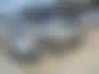 Vehicle Image- 2010 Toyota Highlander