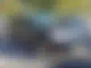 Vehicle Image- 2010 Toyota Highlander