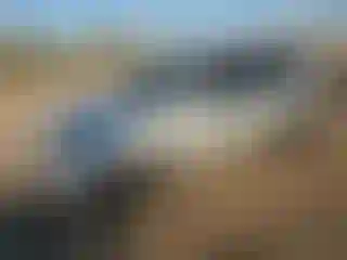 Vehicle Image- 2004 Toyota Highlander