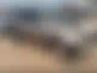 Vehicle Image- 2005 Toyota Highlander