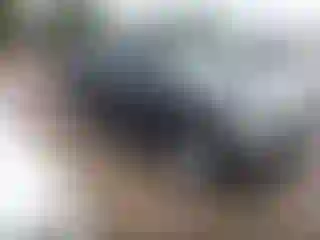 Vehicle Image- 2007 Toyota Highlander