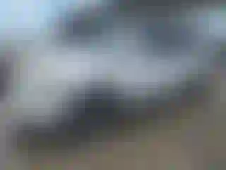 Vehicle Image- 2006 Toyota Highlander