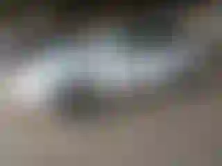 Vehicle Image- 2006 Toyota Highlander