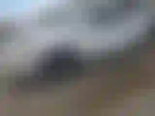 Vehicle Image- 2004 Toyota Highlander