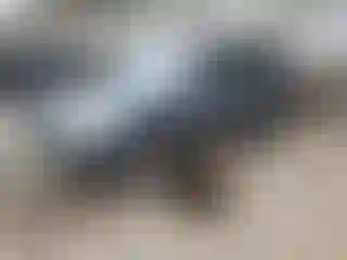 Vehicle Image- 2006 Toyota Highlander
