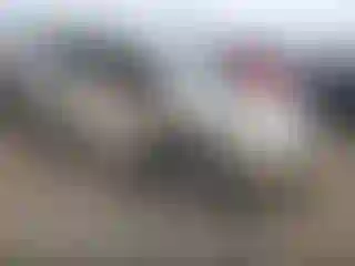 Vehicle Image- 2009 Toyota Highlander