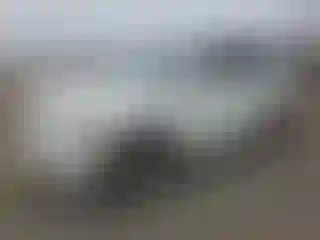 Vehicle Image- 2009 Toyota Highlander