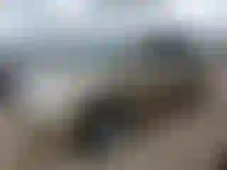 Vehicle Image- 2008 Toyota Highlander