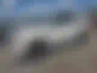 Vehicle Image- 2022 Toyota 4 Runner
