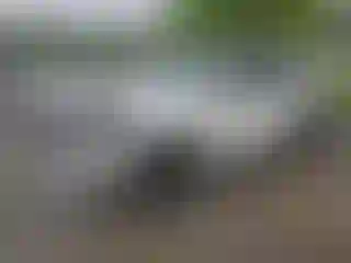 Vehicle Image- 2021 Toyota 4 Runner