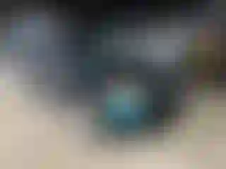 Vehicle Image- 2006 Toyota Highlander