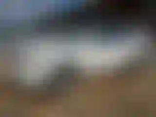Vehicle Image- 2006 Toyota Highlander