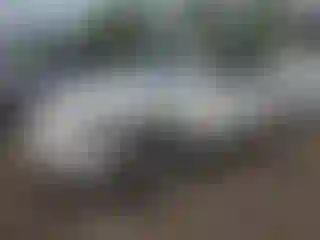 Vehicle Image- 2006 Toyota Highlander