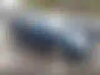 Vehicle Image- 2005 Toyota Highlander