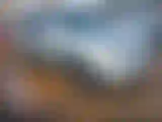 Vehicle Image- 2005 Toyota Highlander