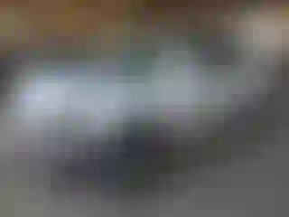 Vehicle Image- 2004 Toyota Highlander