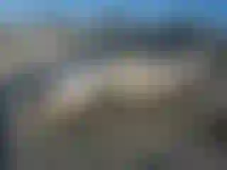 Vehicle Image- 2004 Toyota Highlander