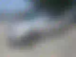 Vehicle Image- 2004 Toyota Highlander