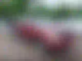 Vehicle Image- 2005 Toyota Highlander