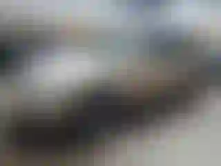 Vehicle Image- 2004 Toyota Highlander