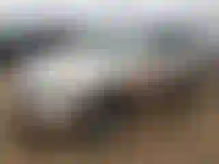 Vehicle Image- 2005 Toyota Highlander