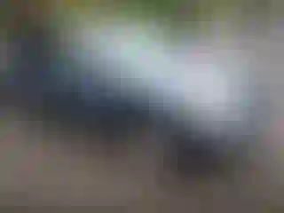 Vehicle Image- 2005 Toyota Highlander